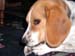 P1010028