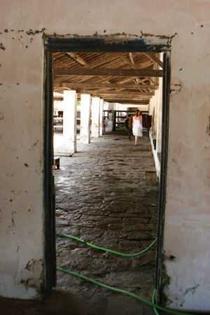 IMG_8606