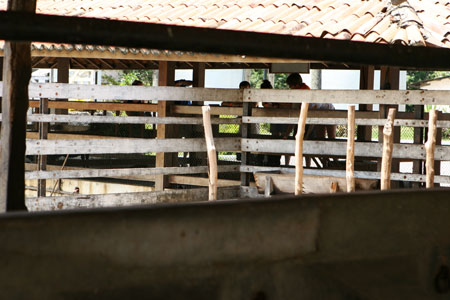 IMG_8612