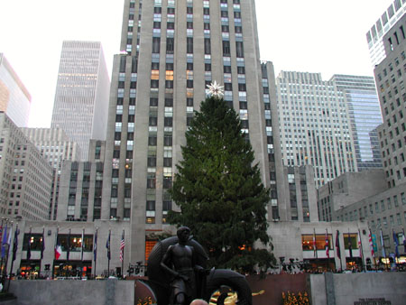 P1010036