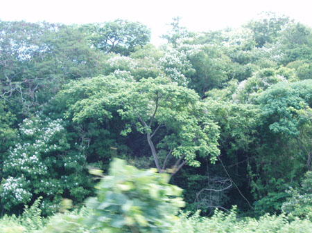 P1011721