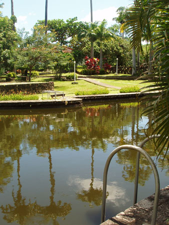 P1011730