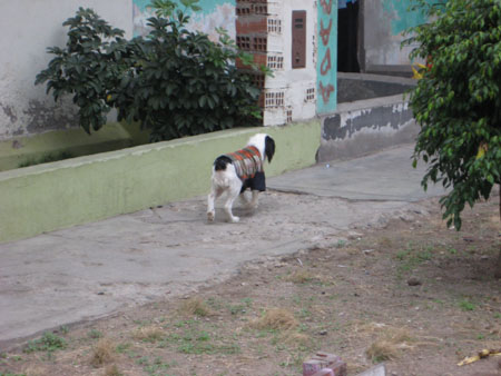 IMG_2971