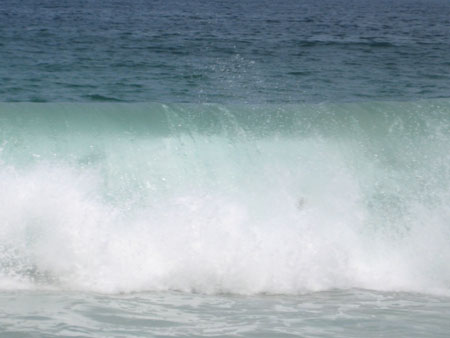 IMG_0658