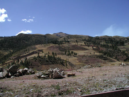 P1010051