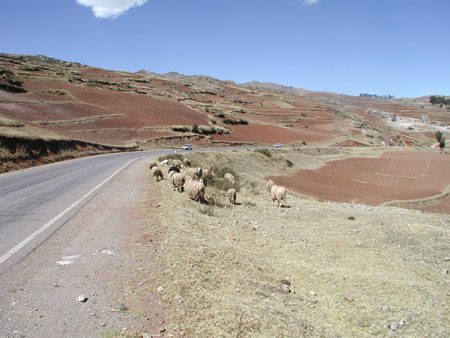 P1010072