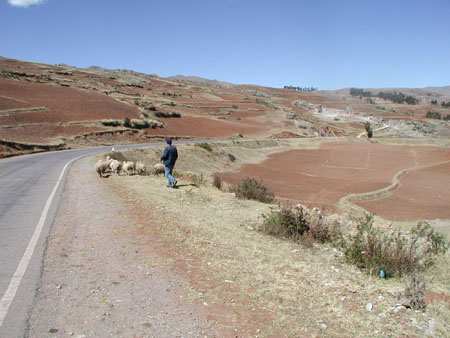 P1010073