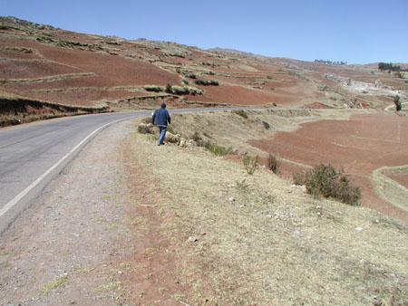 P1010074