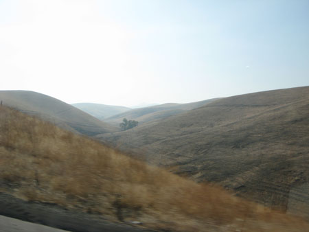 IMG_3427