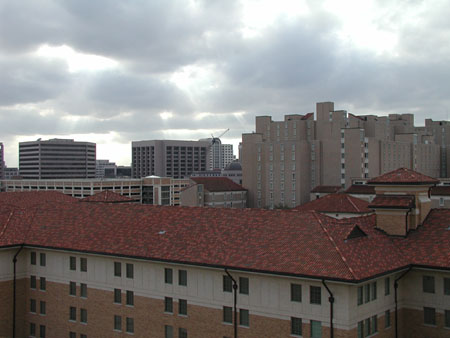 P1010018
