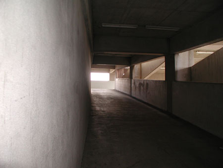 P1010021