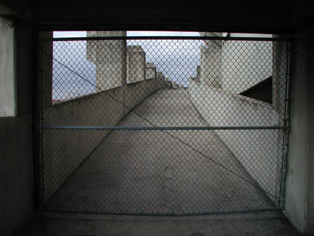 P1010036